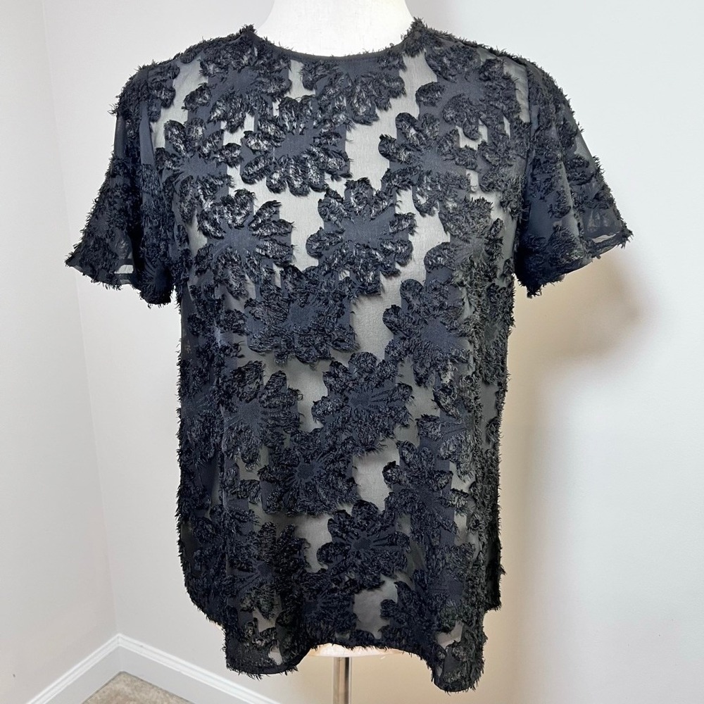 Womens Top Black Sheer Mesh Floral Whimsigoth Dark Romantic Fairy Vamp Feminine